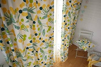 ポケモン スミノエ 遮光カーテン イーブイズ 100×200cm 2枚入り ポケモン スミノエ 遮光カーテン イーブイズ 100×200cm 2枚入り